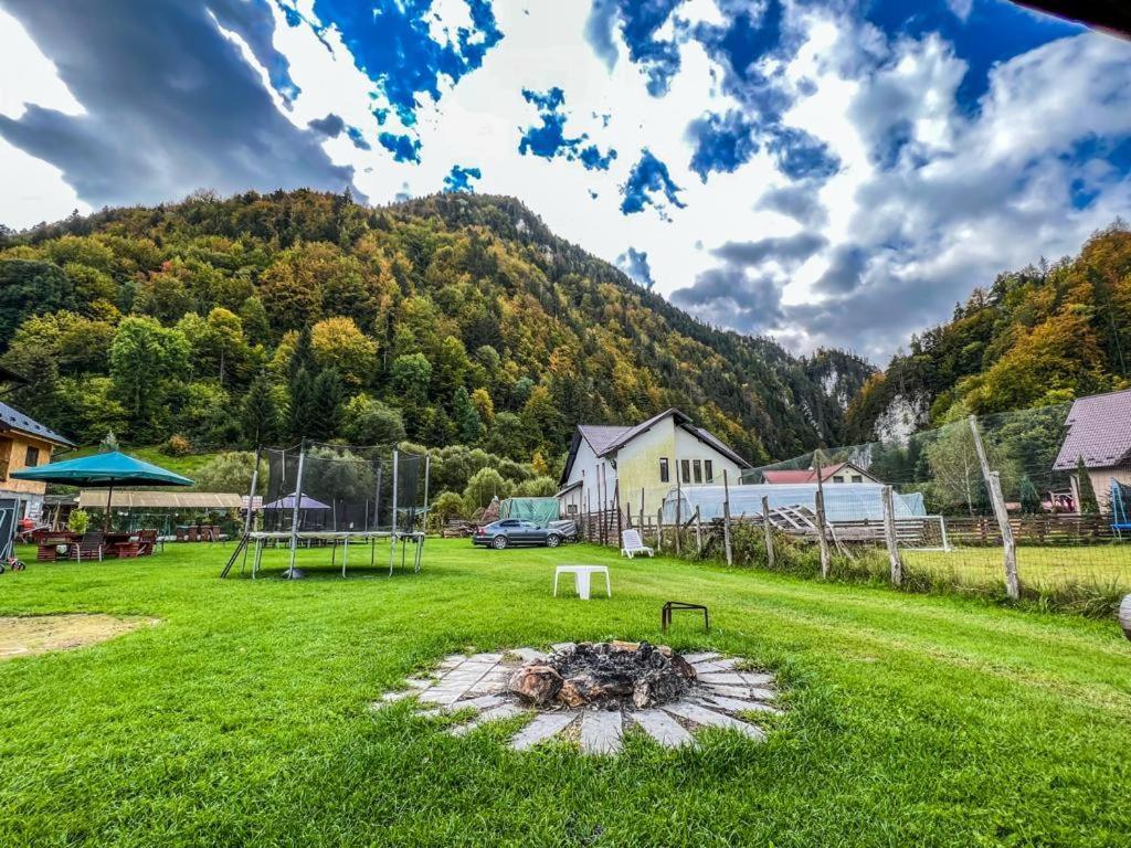 Casa Petruta Dambovicioara Hotel Podu Dimbovitei Exterior foto