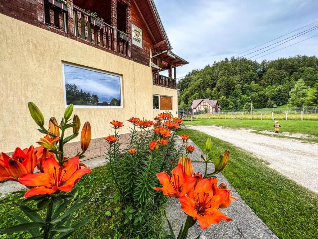 Casa Petruta Dambovicioara Hotel Podu Dimbovitei Exterior foto